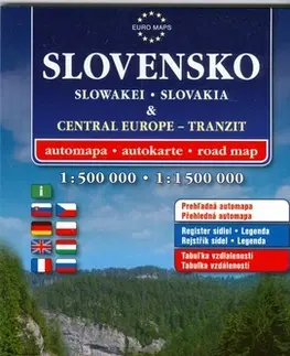 Do auta Slovensko & Stredná Európa-tranzit - Kolektív autorov