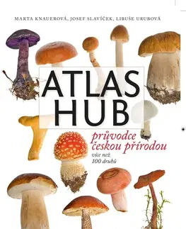 Biológia, fauna a flóra Atlas hub - Marta Knauerová,Josef Slavíček,Libuše Urubová