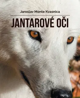 Príroda Jantarové oči 2. vydání - Jaroslav M. Kvasnica