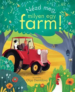 Leporelá, krabičky, puzzle knihy Nézd meg, milyen egy farm! - Anna Milbourne,Anita Beck Sárossy
