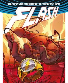 Komiksy Flash 5 - Negativ - Joshua Williamson,Porter Howard,Carmine Di Giandomenico