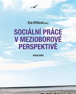 Odborná a náučná literatúra - ostatné Sociální práce v mezioborové perspektivě - Eva Křížová