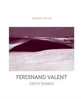 Eseje, úvahy, štúdie Cesty domov - Ferdinand Valent