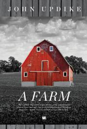 Svetová beletria A Farm - John Updike