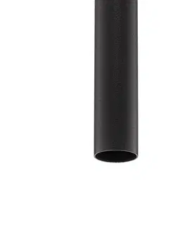 Závesné svietidlá Euluna Závesná lampa Laser 1-pl., čierna, tienidlo 100 cm