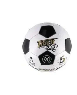 Hračky na záhradu Teddies Futbalová lopta, pr. 23 cm