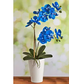 Vonkajšie osvetlenie Modrá orchidea