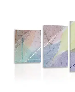 Obrazy zátišie 5-dielny obraz žilky na farebných listoch