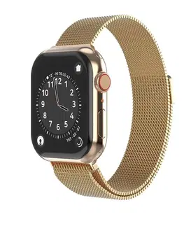 Príslušenstvo k wearables Swissten Milanese Loop for Apple Watch 42-44, gold
