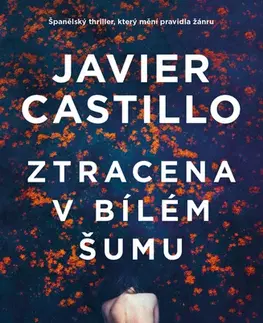 Detektívky, trilery, horory Ztracena v bílém šumu - Javier Castillo