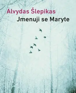 Romantická beletria Jmenuji se Maryte - Alvydas Šlepikas