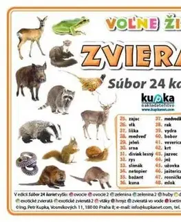 Učebnice pre ZŠ - ostatné Súbor 24 kariet - zvieratá (voľne žijúce) - Petr Kupka
