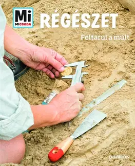 História Régészet - Feltárul a múlt - Mi Micsoda - Andrea Schaller,Csaba Varga
