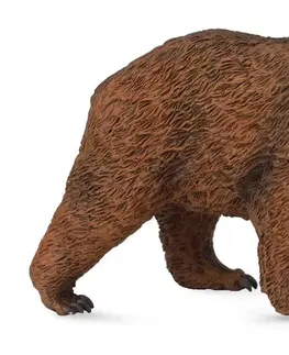 Hračky - figprky zvierat COLLECTA - Medveď hnedý