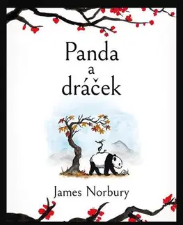 Pre deti a mládež - ostatné Panda a dráček - James Norbury
