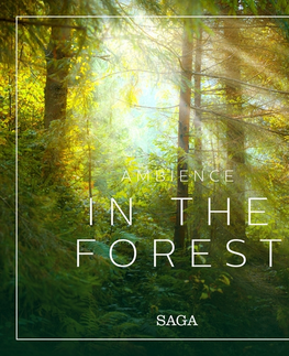 Duchovný rozvoj Saga Egmont Ambience - In the Forest (EN)