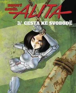 Manga Bojový anděl Alita 3 - Cesta ke svobodě - Jukito Kiširo