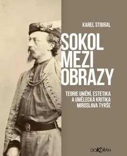 Dejiny, teória umenia Sokol mezi obrazy - Karel Stibral