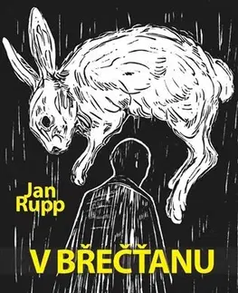 Romantická beletria V břečťanu - Jan Rupp