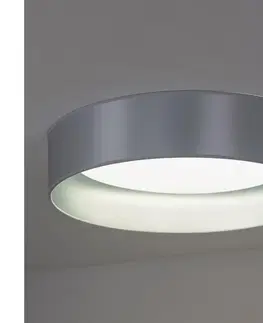 Svietidlá   - LED Stropné svietidlo ROLLER LED/24W/230V strieborná 