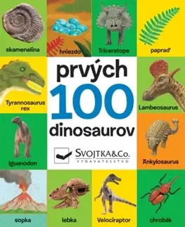 Leporelá, krabičky, puzzle knihy Prvých 100 dinosaurov