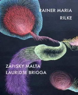 Svetová beletria Zápisky Malta Lauridse Brigga - Rainer Maria Rilke,Josef Suchý