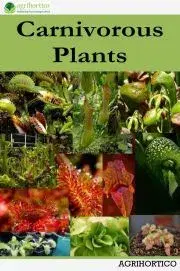 Prírodné vedy - ostatné Carnivorous Plants