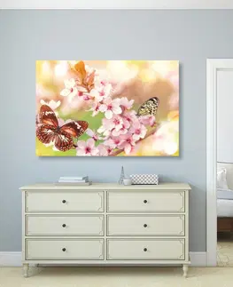 Obrazy zvierat Obraz jarné kvety s exotickými motýľmi
