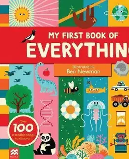 Leporelá, krabičky, puzzle knihy My First Book of Everything - neuvedený,Ben Newman