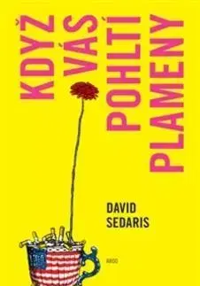 Humor a satira Když vás pohltí plameny - David Sedaris