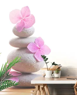Tapety Feng Shui Fototapeta balans kameňov a ružové kvety