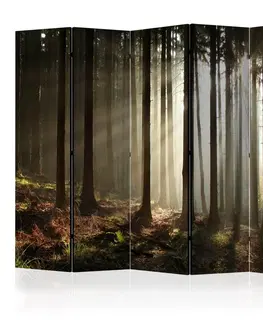 Paravány Paraván Coniferous forest Dekorhome 135x172 cm (3-dielny)