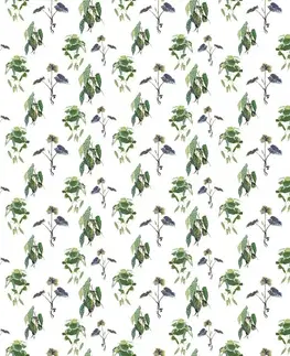 Tapety príroda Tapeta pôvabné zelené listy