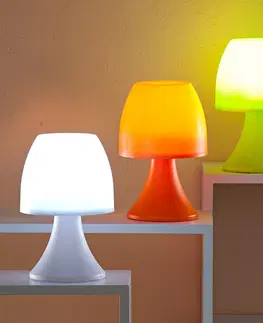 Drobné dekorácie a doplnky LED lampička, biela