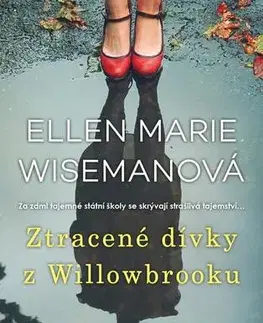 Romantická beletria Ztracené dívky z Willowbrooku - Ellen Marie Wisemanová