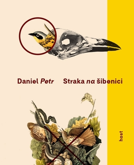 Romantická beletria Straka na šibenici - Daniel Petr
