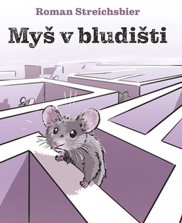 Rozvoj osobnosti Myš v bludišti - Roman Streichsbier