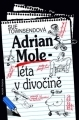 Pre deti a mládež - ostatné Adrian Mole - léta v divočině - Sue Townsend