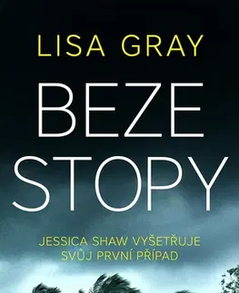 Detektívky, trilery, horory Beze stopy - Lisa Gray