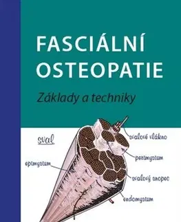 Medicína - ostatné Fasciální osteopatie - Angelika Stunk