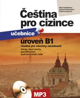 Jazykové učebnice, slovníky Čeština pro cizince učebnice+cvičebnice - Kolektív autorov