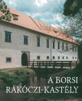 Architektúra A borsi Rákóczi-kastély