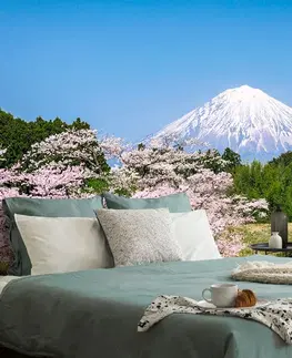 Samolepiace tapety Samolepiaca fototapeta sopka Fuji