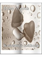 Romantická beletria Karácsonyi találkozás - Woods Rose