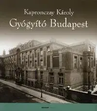 Odborná a náučná literatúra - ostatné Gyógyító Budapest - Károly Kapronczay