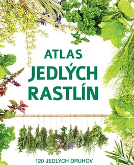 Korenie, bylinky, ingrediencie Atlas jedlých rastlín