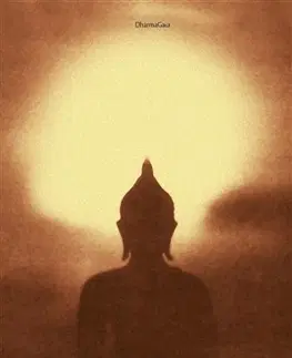 Buddhizmus Moudrost nedokonalosti - Rob Preece