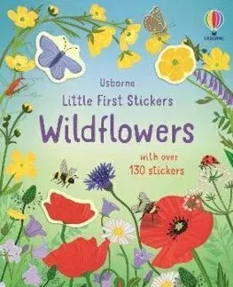 Nalepovačky, vystrihovačky, skladačky Little First Stickers Wildflowers - Caroline Young,Sarah Watkins