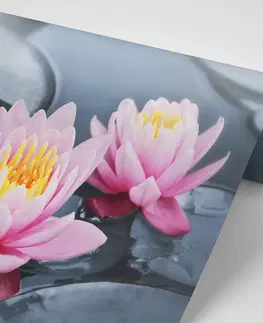Samolepiace tapety Samolepiaca fototapeta lotosový kvet v jazere