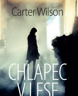 Detektívky, trilery, horory Chlapec v lese - Carter Wilson